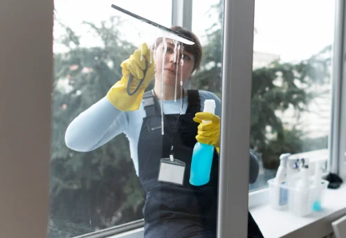 Nettoyage de vitres intérieures et extérieures aux Roches-de-Condrieu
